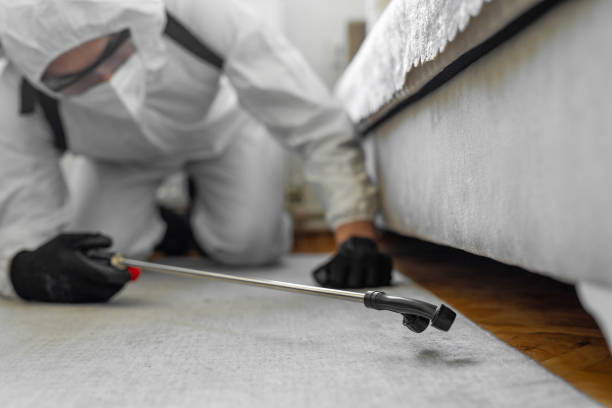Professional Mosquito Control technician working in Parkers Prairie, MN
