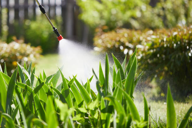 24/7 Emergency Mosquito Control experts in Parkers Prairie, MN